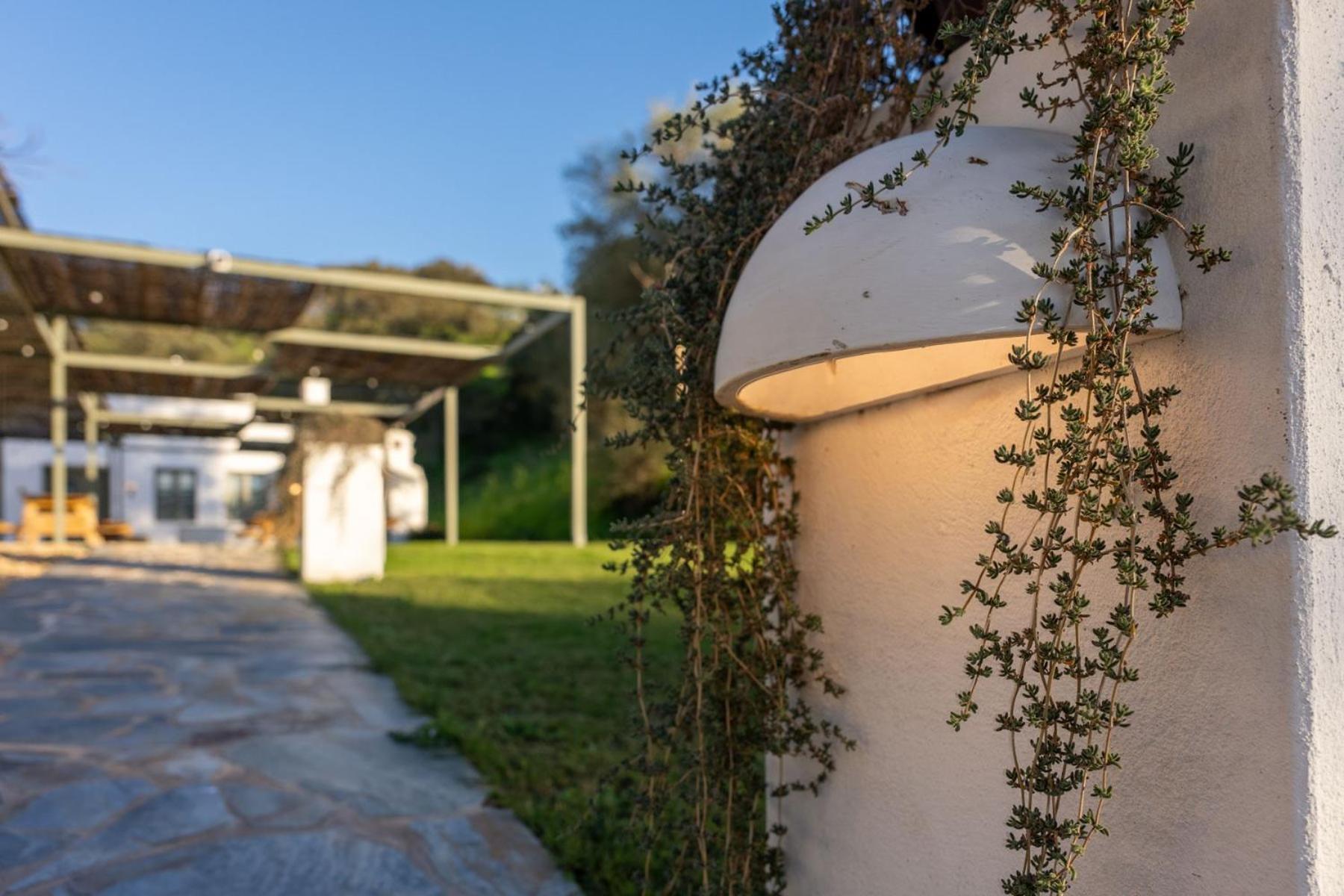 Apartamentos, Finca Contrabando Sanlucar Del Guadiana, Huelva Sanlucar De Guadiana Ngoại thất bức ảnh